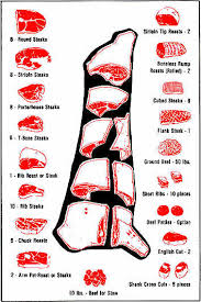Cow Beef Cut Diagram Catalogue Of Schemas