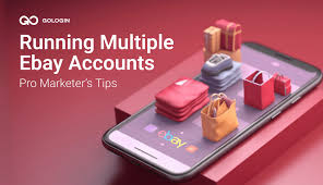 how to run multiple ebay accounts pro