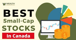 11 best small cap stocks in canada for