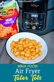ninja foodi air fryer tater tots