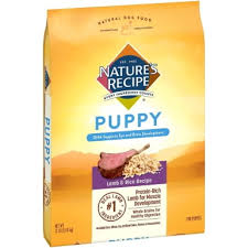 nature s recipe dog food review 2023