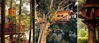 Diy Tree House Ideas And Building Tips