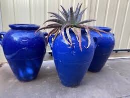 Large Pots In Adelaide Region Sa