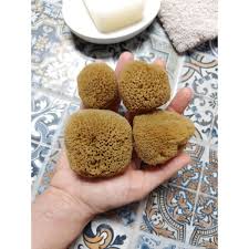 caribbean silk menstrual sponges 4