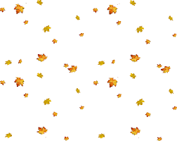 Are you looking for leaves falling design images templates psd or png vectors files? Leaves Falling Transparent Gif Fall Leaves Sticker By Imoji For Ios Android Giphy Uploaded By á¥² êª€ á¥² êª€ êª— á¥² Renae Joyful Always