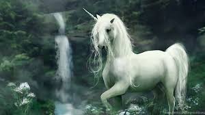 | see more hd wallpapers, 3d hd looking for the best unicorn wallpaper hd? Mac Imac 27 Unicorn Wallpapers Hd Desktop Backgrounds 2560x1440 Desktop Background