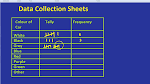 Data Collection Sheet