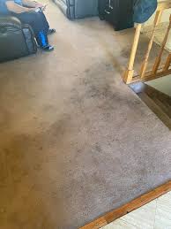 mk prosteam carpet cleaning