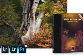 During this time, i have put a lot of effort and time in creating my own presets and i have decided to share them with you! Free Autumn Forest Lightroom Presets Desktop Mobile Dng