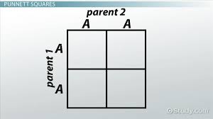 The punnett square is a square diagram that is used to predict the genotypes of a particular cross or breeding experiment. Genetics And Punnett Squares Getting Traits From Parents Video Lesson Transcript Study Com