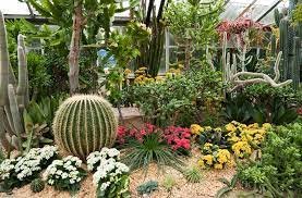 10 Drought Tolerant Garden Ideas For