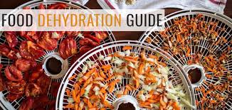 Complete Guide To Food Dehydration In
