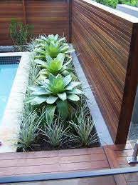 Tropical Planting By Qld Fence