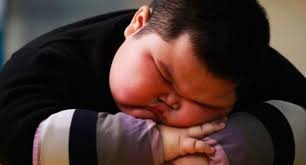 Image result for overweight sleeping