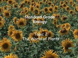 Ppt Topic 2 The World Of Plants