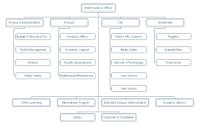 Management Organizational Chart Examples And Templates