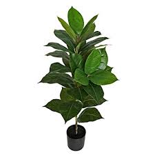 It can help create your own sanctuary indoors. Buy Besamenature 40 Artificial Rubber Tree Plant Ficus Tree Faux Tropical Tree For Home Office Decoration Green Online In Turkey B08czvrx98