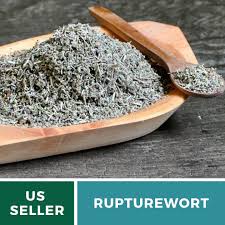 rupturewort green carpet 100 seeds