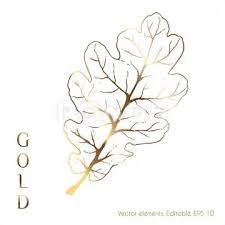 Gold Leaves Vector Graphics For The