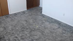 las cruces carpet cleaning