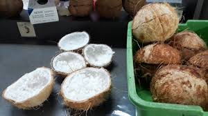 Image result for kelapa kopyor dunia