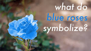 i have visions of blue roses here s