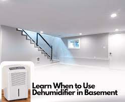 When To Use Dehumidifier In Basement