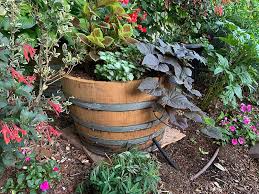 Wine Barrel Planters In Your Garden