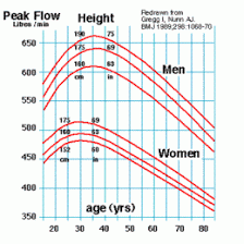 Peak Flow Height Chart Normal Readings Of Peak Flow Meters