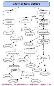 Homeopathy Flowchart For Excessive Mucus Sinus Problems
