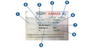 how to read a canadian visa in 2020