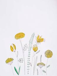 yellow flowers watercolor painting on