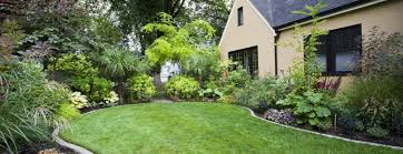 Jo Burg Garden And Landscaping Design