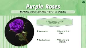what does a purple flower represent