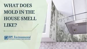 what does mold in the house smell like