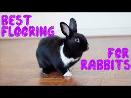 the best flooring for rabbits you