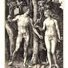 Dürer - Adam And Eve