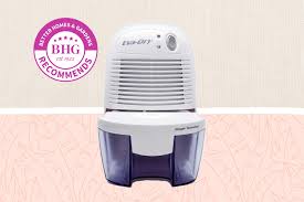the 9 best small dehumidifiers of 2023