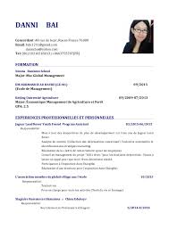 Cv Format En Francais Profesional Resume For Job Education