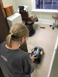 expert carpet cleaning services by