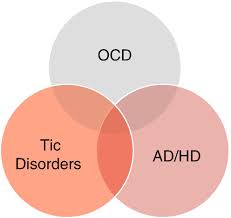 Obsessive-Compulsive and Related Disorders in Transitional-Age Youth | SpringerLink