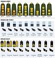 Air Force Ranks And Insignia Of India Wikipedia