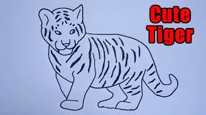 Draw two wavy, parallel lines extending downward from the middle. How To Draw A Tiger Cute Drawing Easy Sketch Step By Step Outline Tutorial For Beginners Youtube