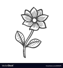 white flower royalty free vector image