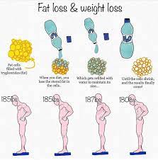 fat loss vs weight loss crossfitf15