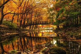 Wallpaper Wiki Autumn River Widescreen Background Pic Wpb0015725