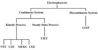 Capillary Electrophoresis Chemistry Libretexts