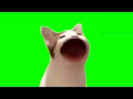 No watermark, custom text and images. Pop Cat Green Screen Youtube In 2021 Pop Cat Cat Greens Greenscreen