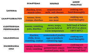 Major Causes Of Food Poisoning Lettuce And Shellfish