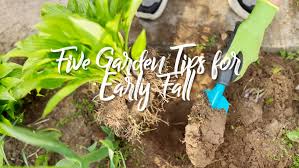 Five Garden Tips For Early Fall The